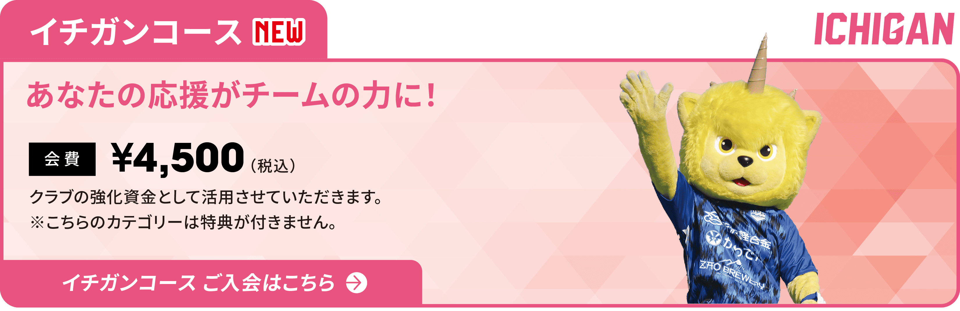 イチガンコース