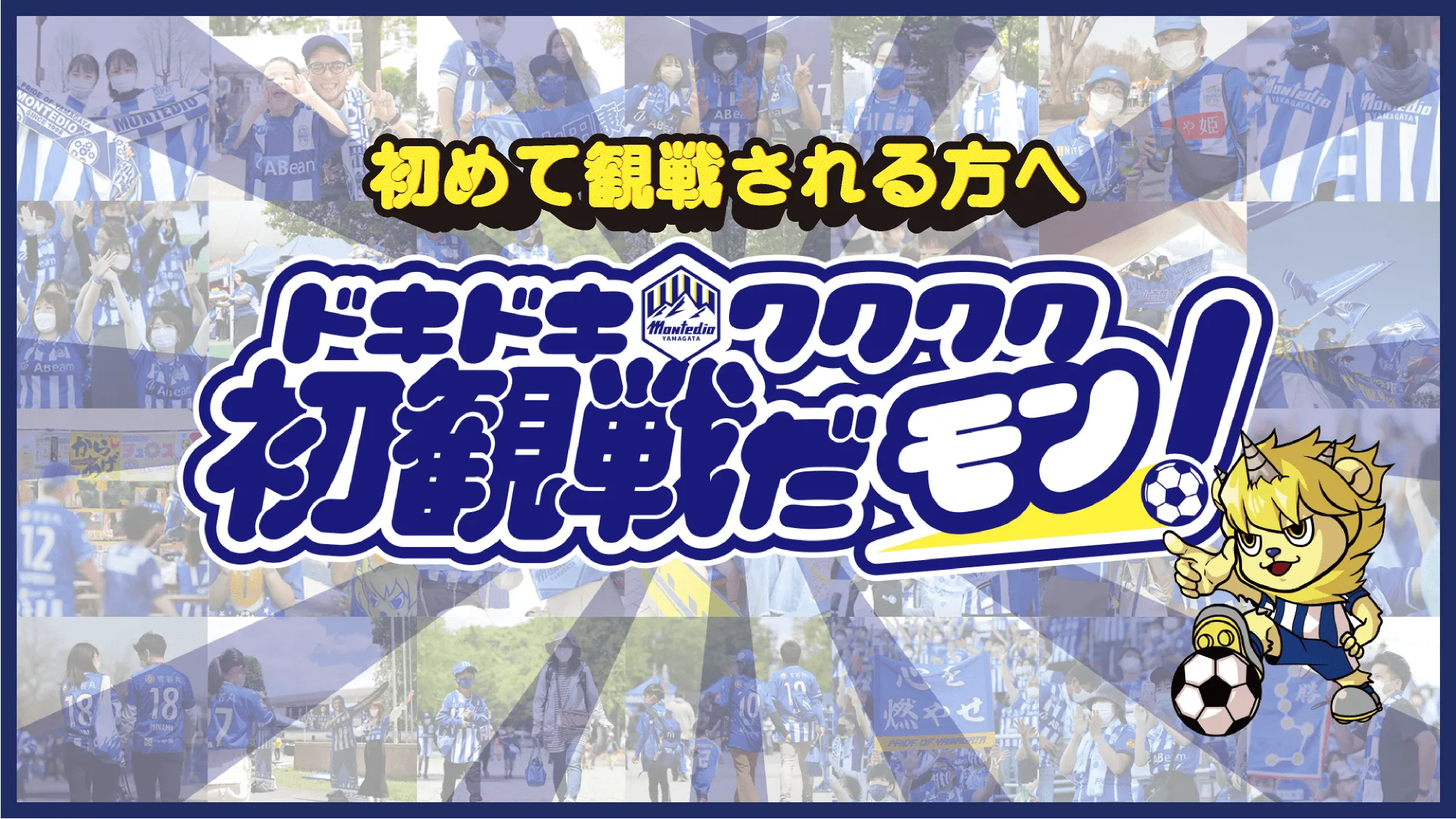 初めて観戦される方々へ ドキドキワクワク初観戦だモン！