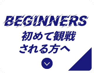 初めて観戦される方へ