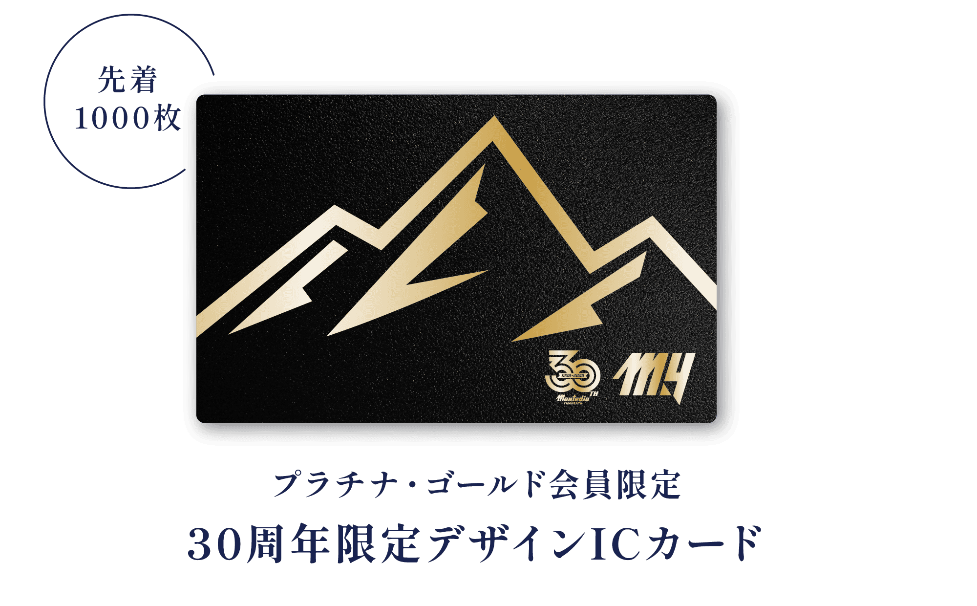 30周年限定デザインICカード