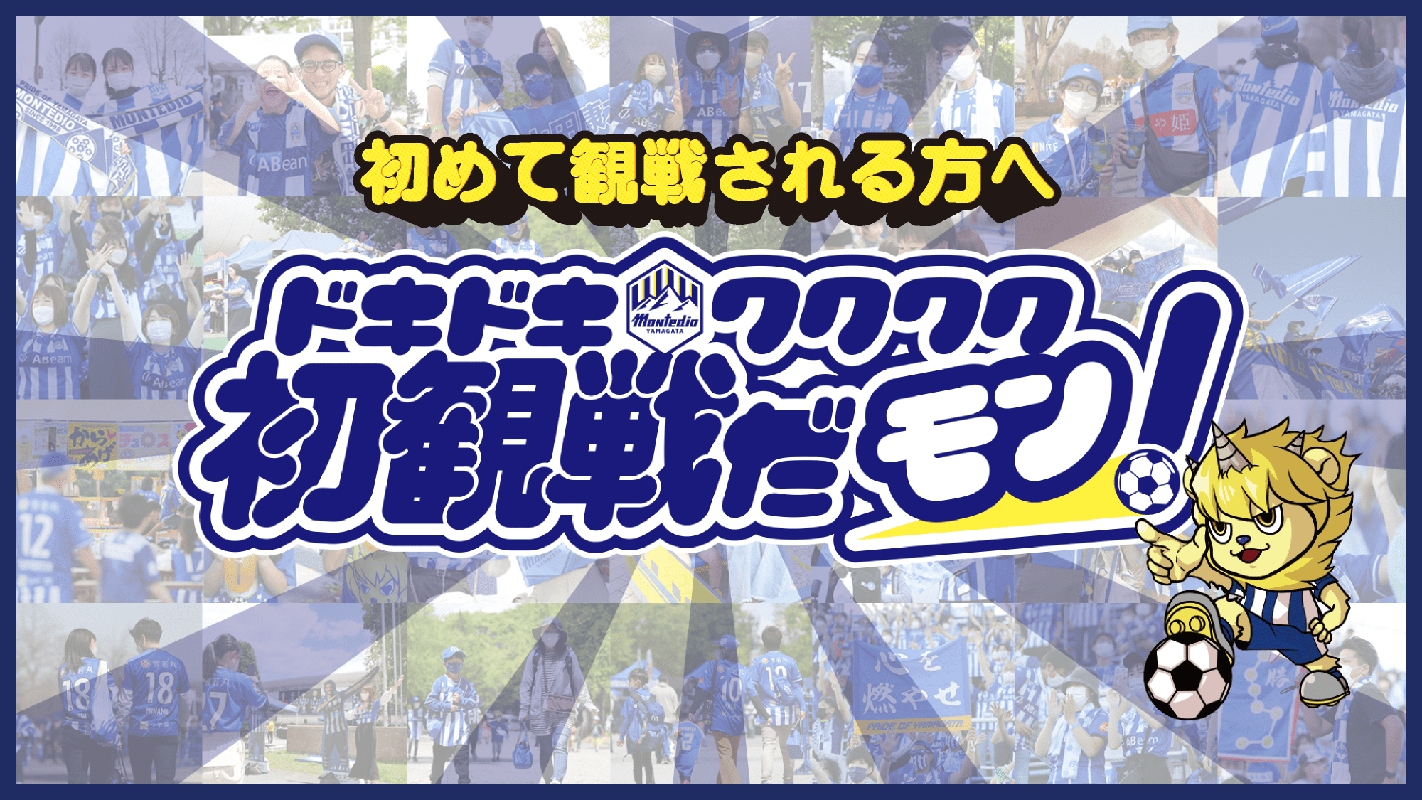 初めて観戦される方へ