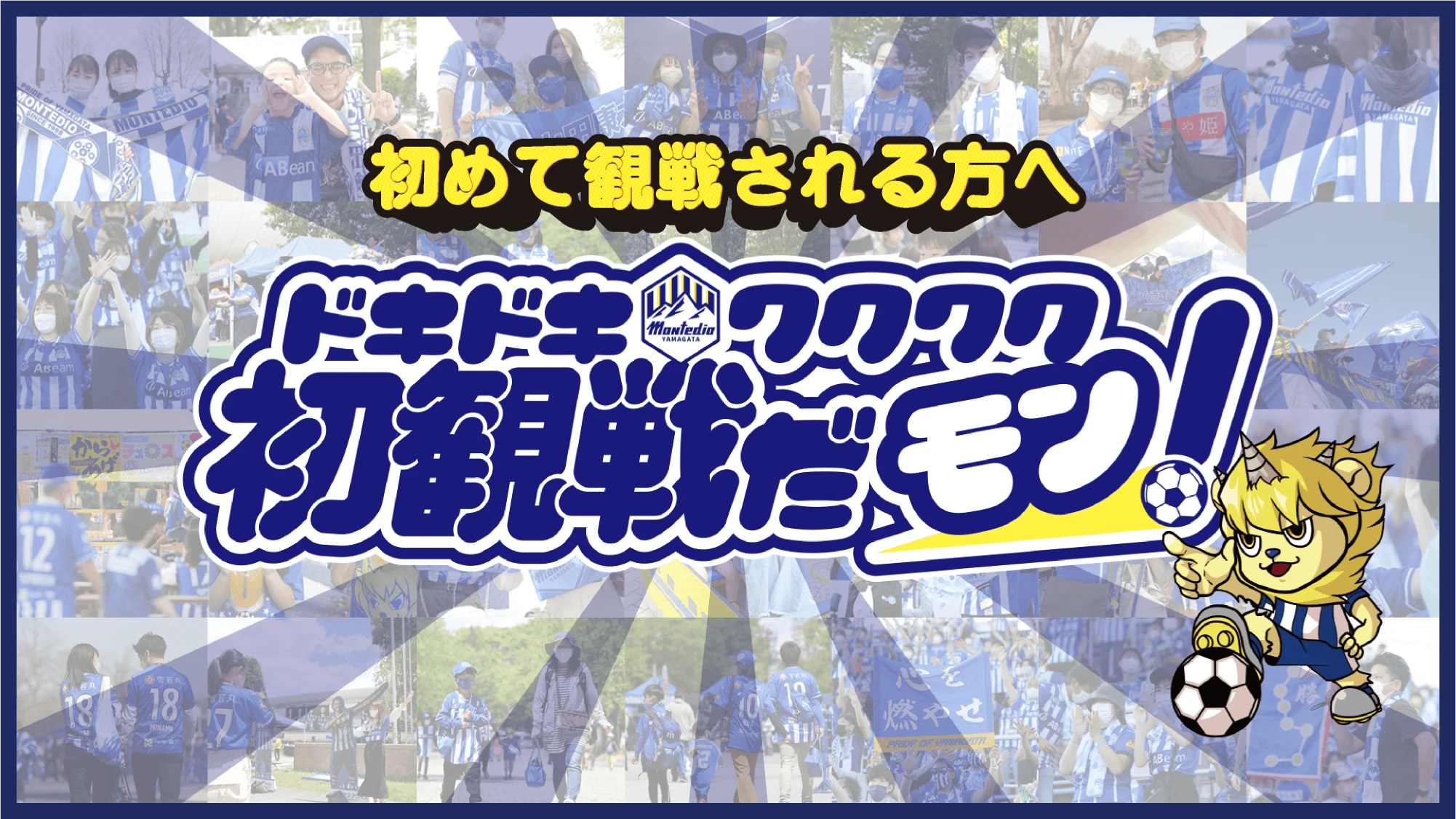 初めて観戦される方へ　ドキドキワクワク初観戦だモン！