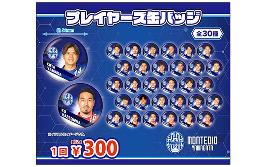 ガチャ【プレーヤーズ缶バッジ】