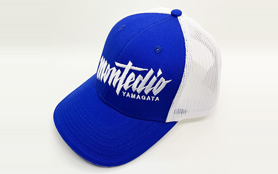 メッシュキャップ