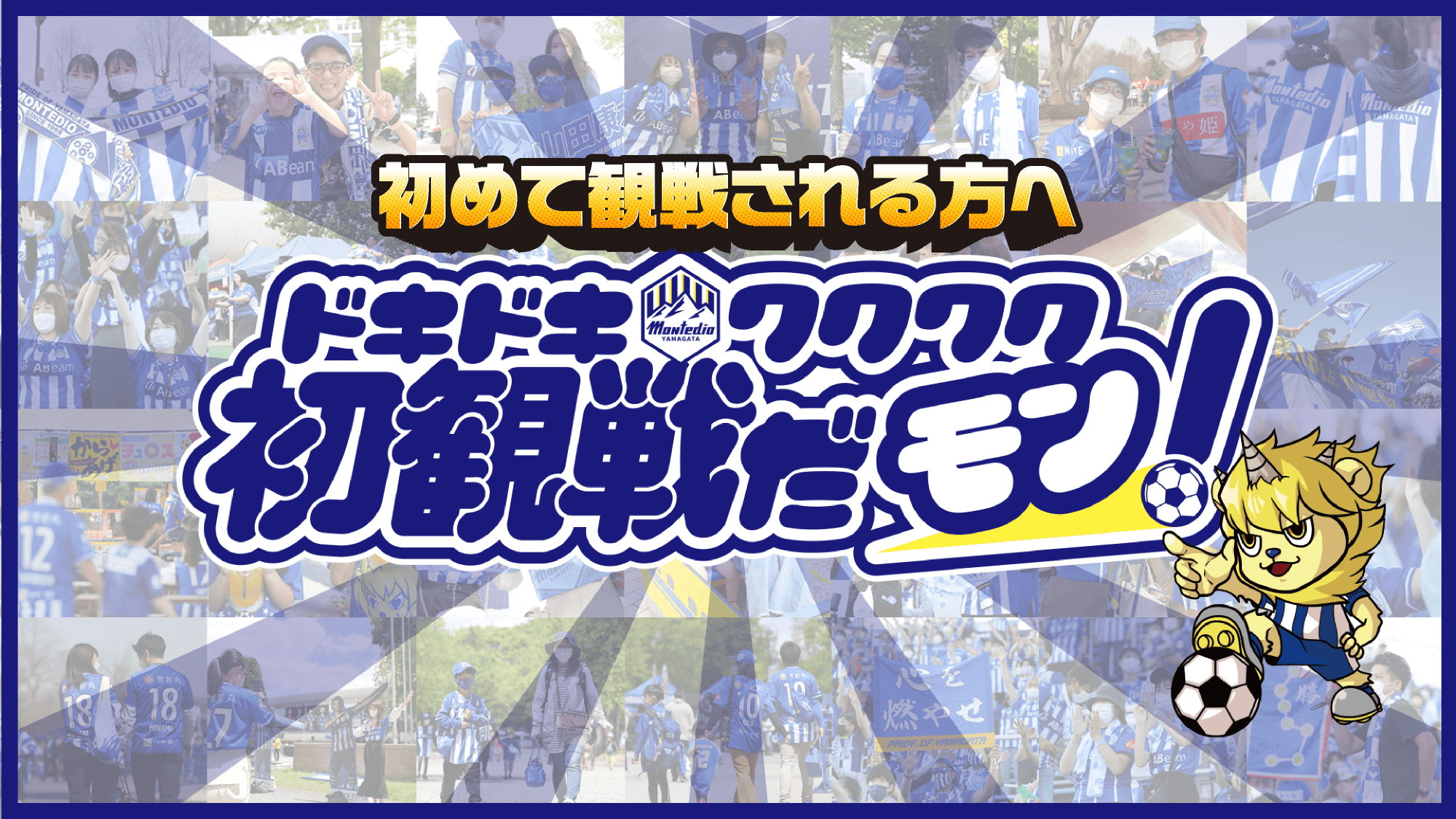 初めて観戦される方へ