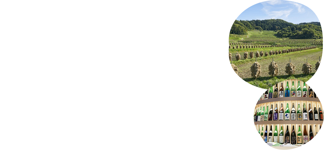 モンテディオ山形では2021シーズンより、トップチーム全選手を山形県全35市町村それぞれのPR・広報活動を行うアンバサダーとして担当させ、それぞれの市町村の情報発信のサポートを行ってまいります。アンバサダー各選手は自治体広報誌や観光PR、オンラインでの学校活動に参加し、山形県の魅力を各市町村と共に発信してまいります。