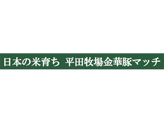 ABeam Consulting SUMMER CAMP 2026 in SHONAI 日本の米育ち平田牧場金華豚マッチ 開催決定のお知らせ