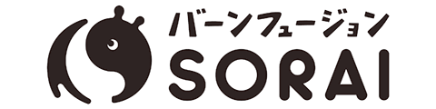 バーンフュージョン